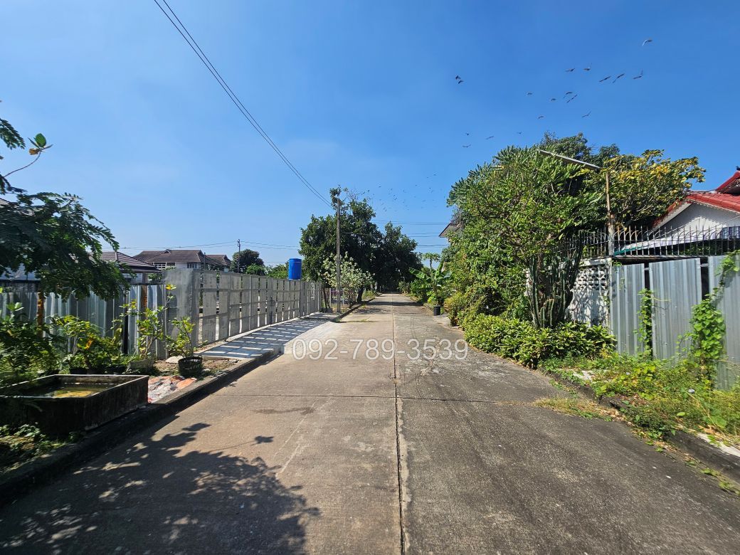 ที่ดินบางระมาด พุทธมณฑลสาย2