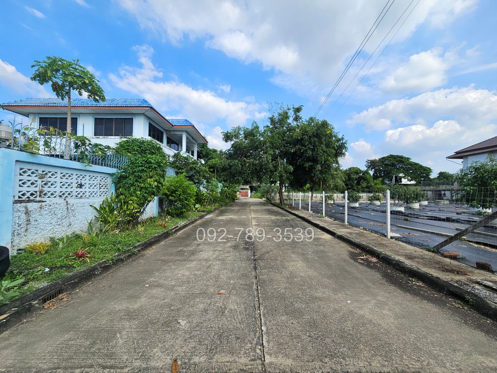 ที่ดินบางระมาด พุทธมณฑลสาย2
