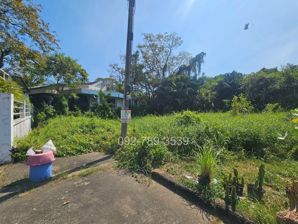 ที่ดินบางระมาด พุทธมณฑลสาย2