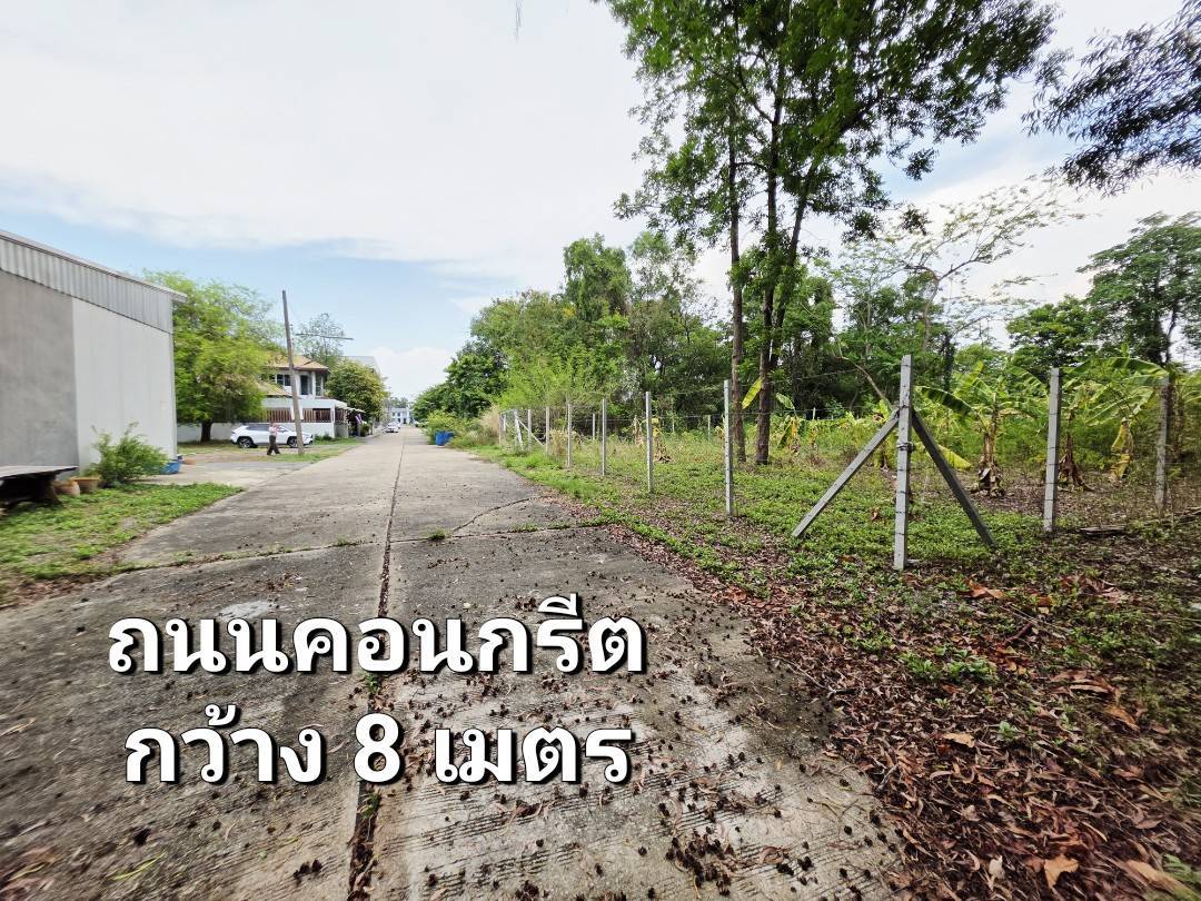 ที่ดินถมแล้ว ถนนกว้าง 8 เมตร